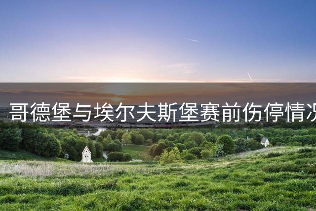 哥德堡与埃尔夫斯堡赛前伤停情况分析